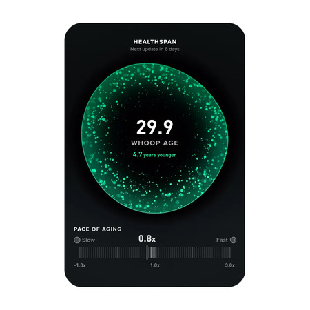 مچ بند سلامت WHOOP 5.0/MG